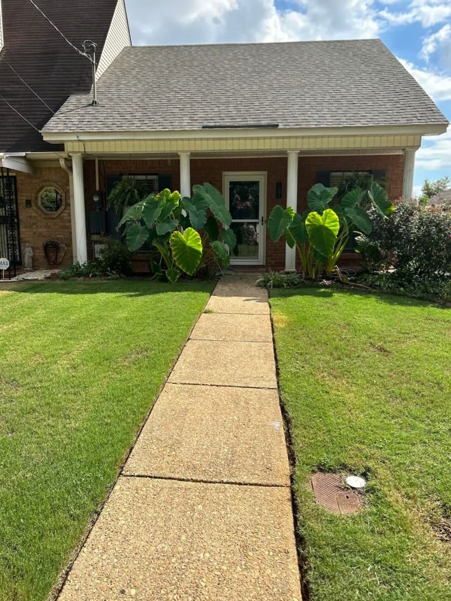 Exterior of Cozy Cottage on Camellia